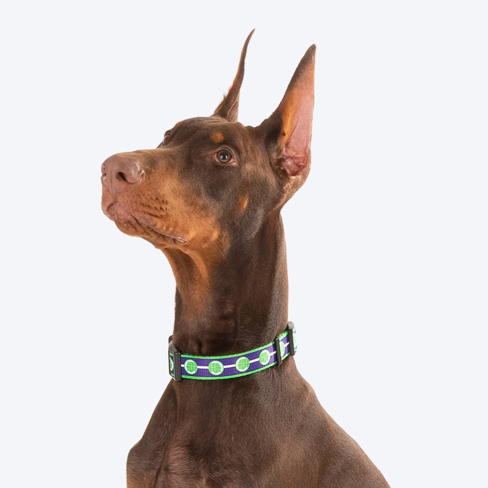 HUFT XÂ©Marvel 2.0 Hulk Printed Dog Collar - Purple and Green - Heads Up For Tails