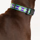 HUFT XÂ©Marvel 2.0 Hulk Printed Dog Collar - Purple and Green - Heads Up For Tails