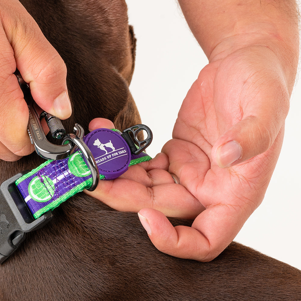 HUFT XÂ©Marvel 2.0 Hulk Printed Dog Collar - Purple and Green - Heads Up For Tails