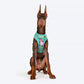 HUFT XÂ© Disney 2.0 Jungle Book Reversible Dog Harness - Green - Heads Up For Tails