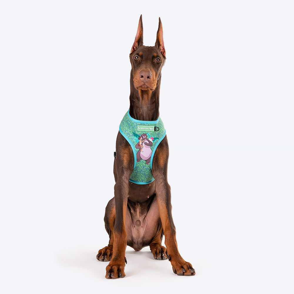 HUFT XÂ© Disney 2.0 Jungle Book Reversible Dog Harness - Green - Heads Up For Tails