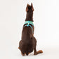HUFT XÂ© Disney 2.0 Jungle Book Reversible Dog Harness - Green - Heads Up For Tails