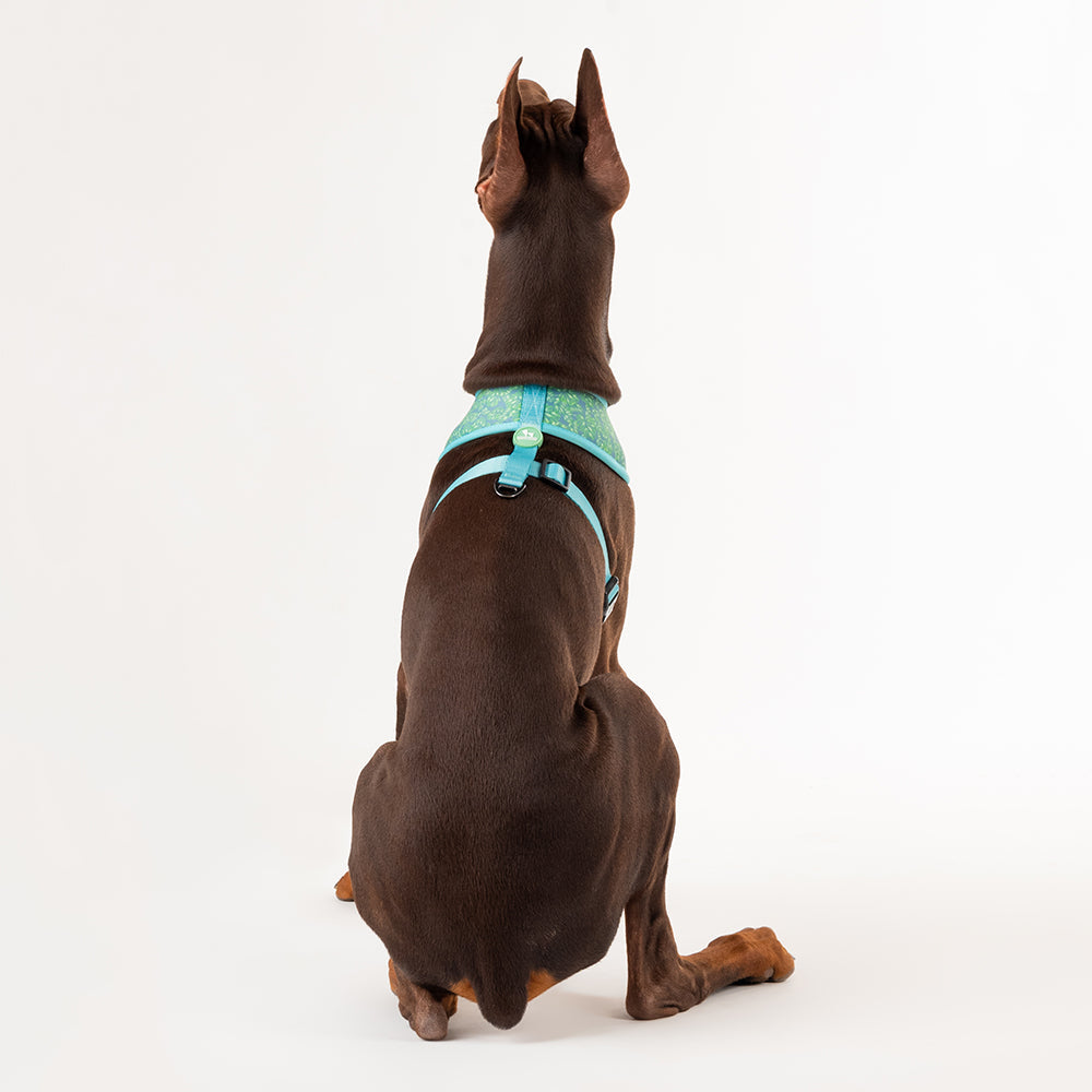HUFT XÂ© Disney 2.0 Jungle Book Reversible Dog Harness - Green - Heads Up For Tails
