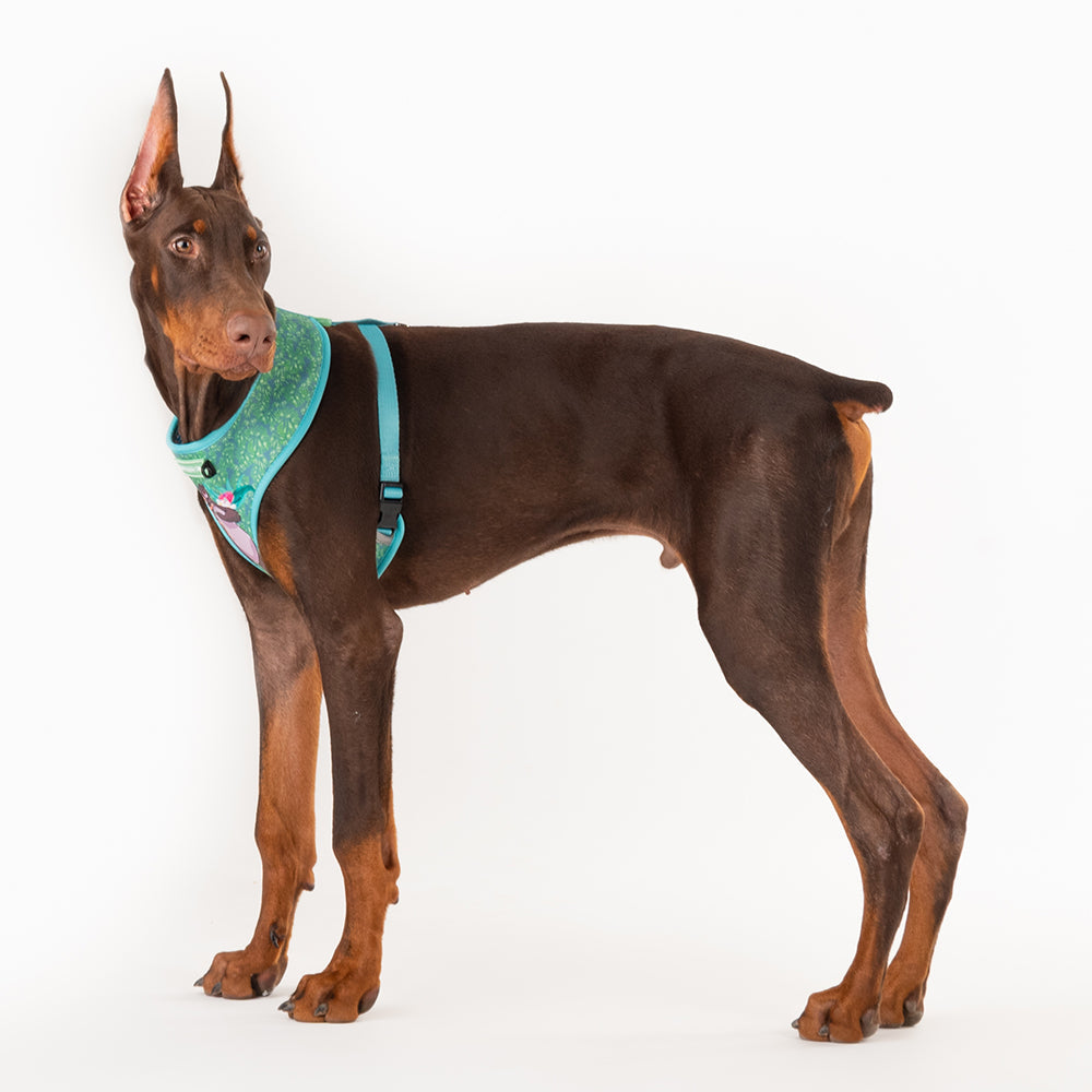 HUFT XÂ© Disney 2.0 Jungle Book Reversible Dog Harness - Green - Heads Up For Tails