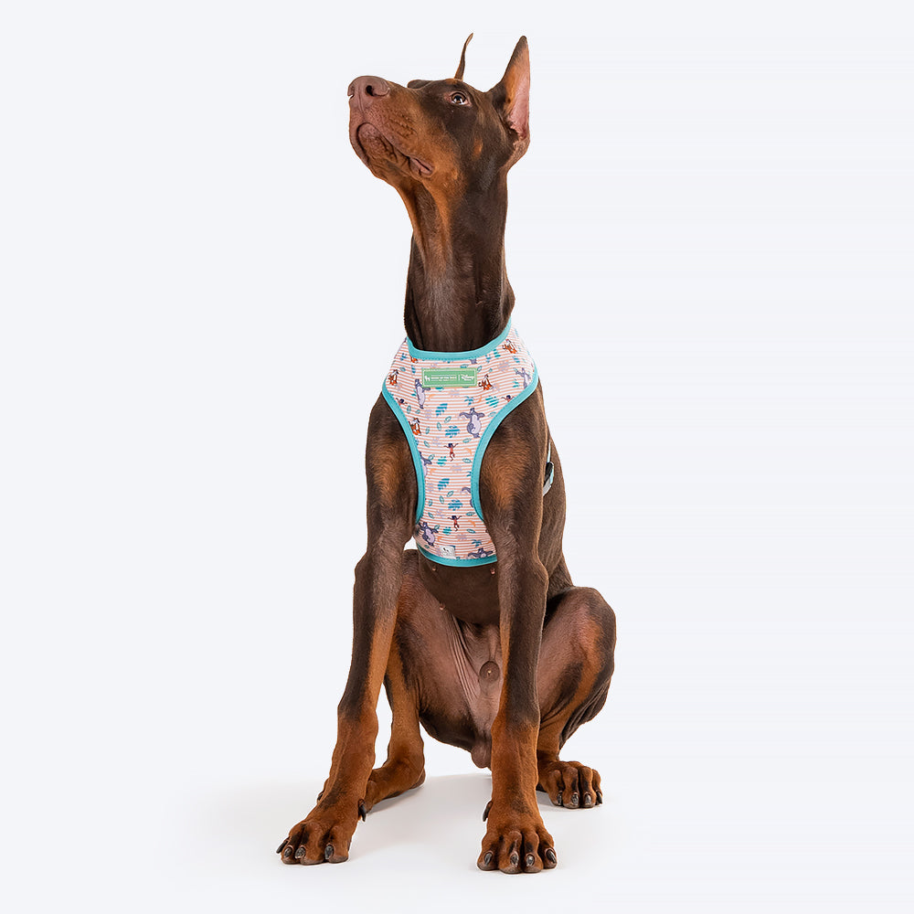 HUFT XÂ© Disney 2.0 Jungle Book Reversible Dog Harness - Green - Heads Up For Tails