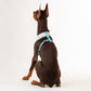 HUFT XÂ© Disney 2.0 Jungle Book Reversible Dog Harness - Green - Heads Up For Tails