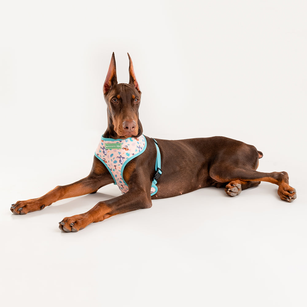 HUFT XÂ© Disney 2.0 Jungle Book Reversible Dog Harness - Green - Heads Up For Tails