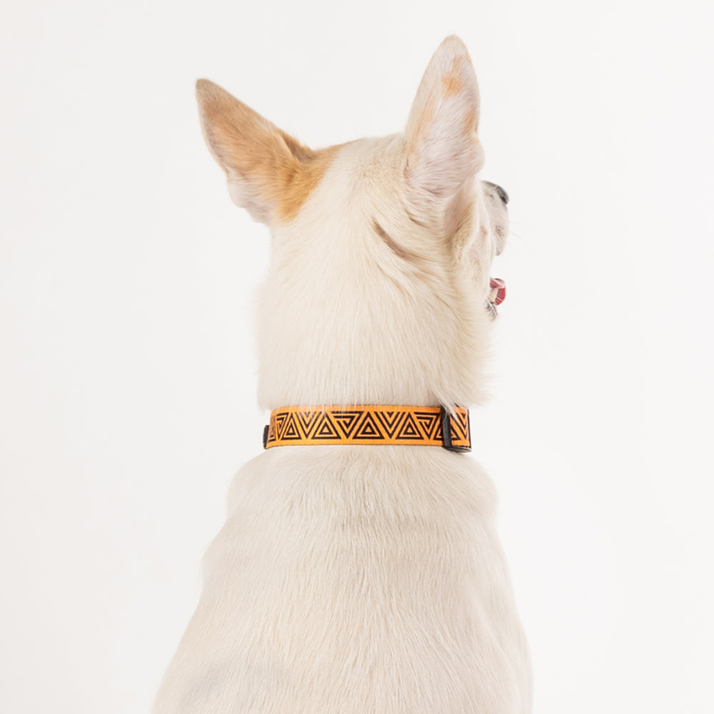 HUFT XÂ©Marvel 2.0 Black Panther Printed Dog Collar - Yellow and Black - Heads Up For Tails
