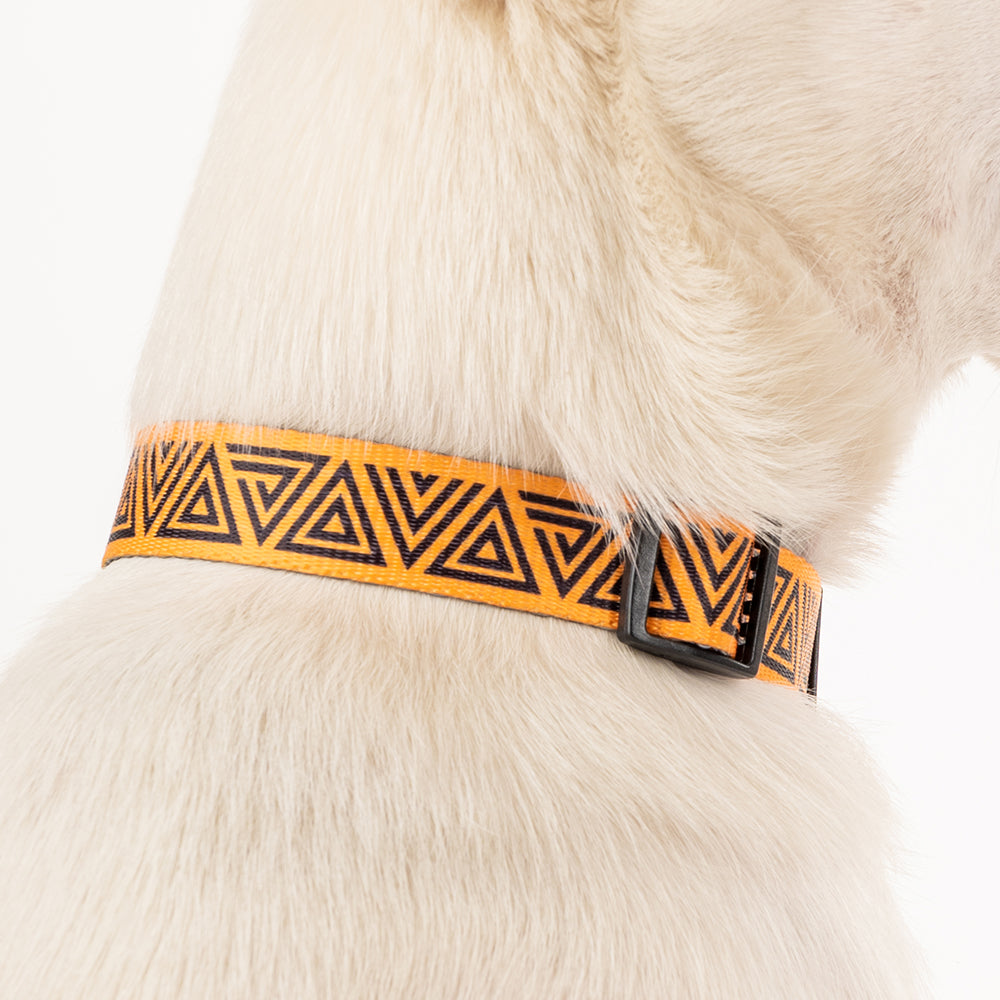 HUFT XÂ©Marvel 2.0 Black Panther Printed Dog Collar - Yellow and Black - Heads Up For Tails