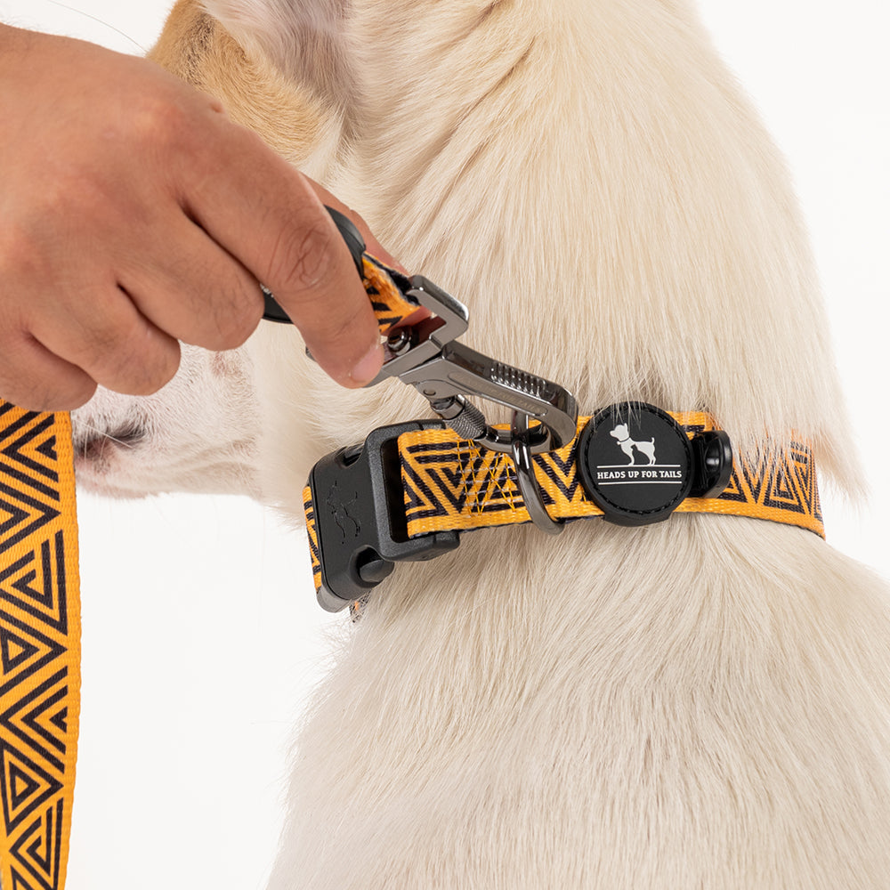 HUFT XÂ©Marvel 2.0 Black Panther Printed Dog Collar - Yellow and Black - Heads Up For Tails