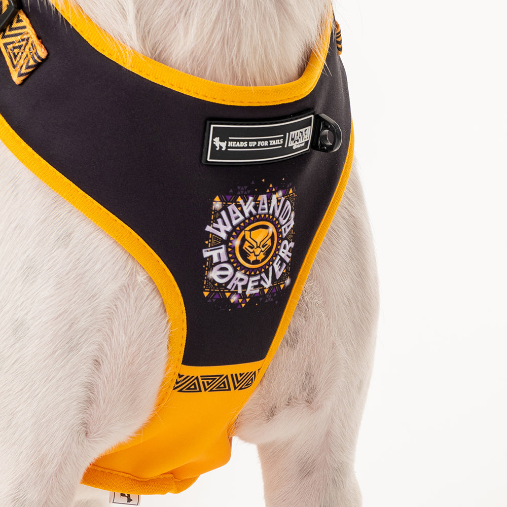 HUFT XÂ© Marvel 2.0 Black Panther Printed Dog Harness (Yellow and Black)_06
