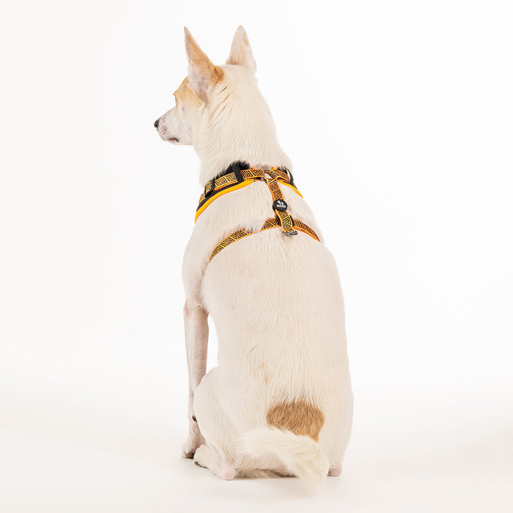 HUFT XÂ© Marvel 2.0 Black Panther Printed Dog Harness (Yellow and Black)_05