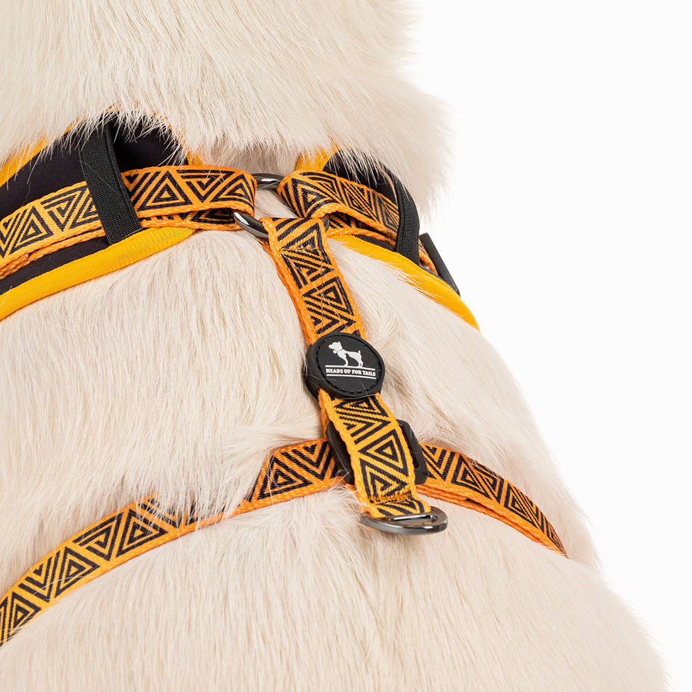 HUFT XÂ© Marvel 2.0 Black Panther Printed Dog Harness (Yellow and Black)_07