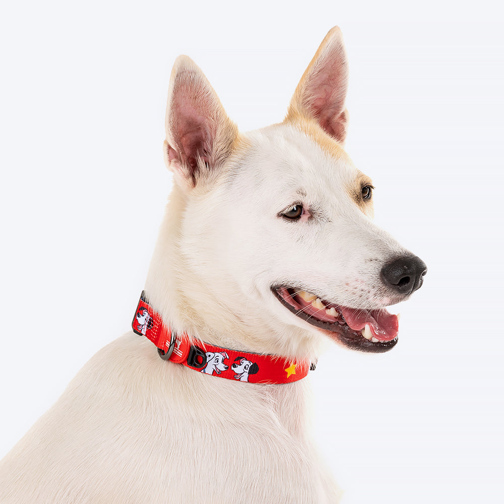 HUFT XÂ©Disney 2.0 Dalmatian Printed Dog Collar - Red and Navy - Heads Up For Tails