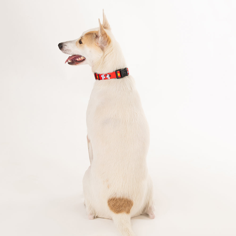 HUFT XÂ©Disney 2.0 Dalmatian Printed Dog Collar - Red and Navy - Heads Up For Tails
