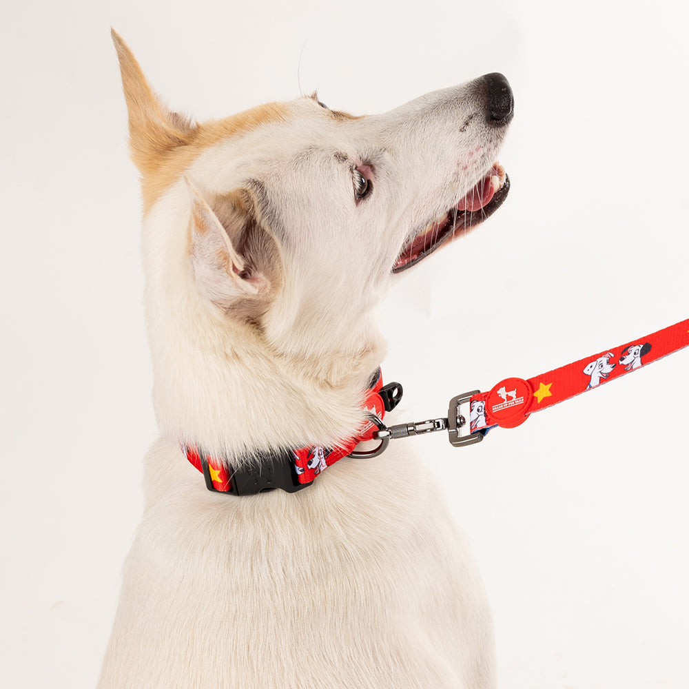 HUFT XÂ©Disney 2.0 Dalmatian Printed Dog Collar - Red and Navy - Heads Up For Tails