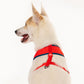 HUFT XÂ© Disney 2.0 Dalmatian Reversible Dog Harness (Red and Navy) - Heads Up For Tails