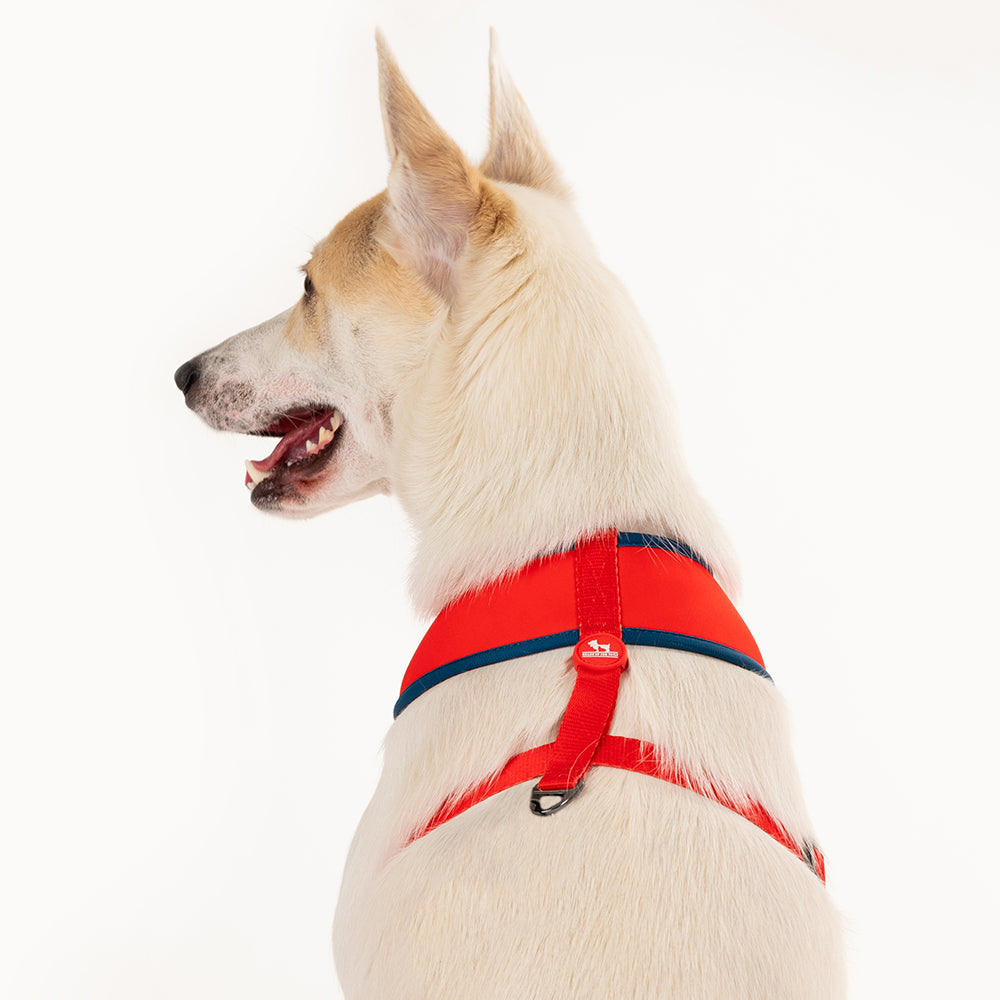 HUFT XÂ© Disney 2.0 Dalmatian Reversible Dog Harness (Red and Navy) - Heads Up For Tails