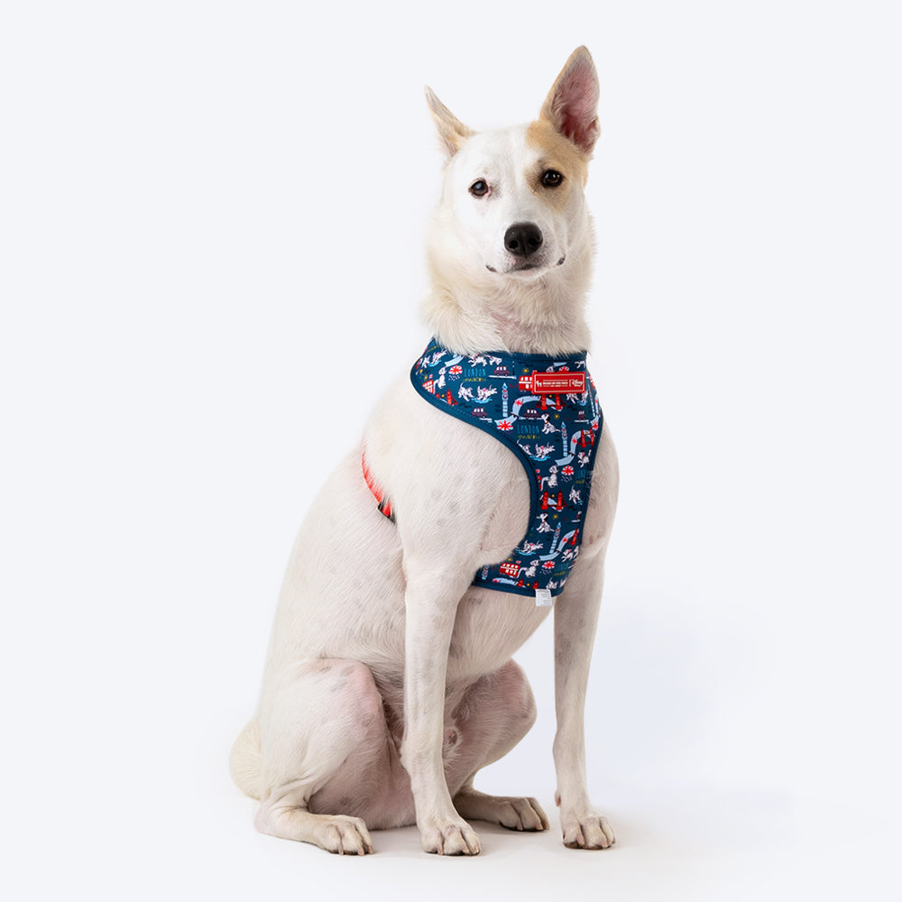 HUFT XÂ© Disney 2.0 Dalmatian Reversible Dog Harness (Red and Navy) - Heads Up For Tails
