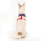 HUFT XÂ© Disney 2.0 Dalmatian Reversible Dog Harness (Red and Navy) - Heads Up For Tails