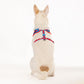 HUFT XÂ© Marvel 2.0 Captain America Printed Dog Harness (Blue and Red)_05