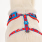 HUFT XÂ© Marvel 2.0 Captain America Printed Dog Harness (Blue and Red)_06