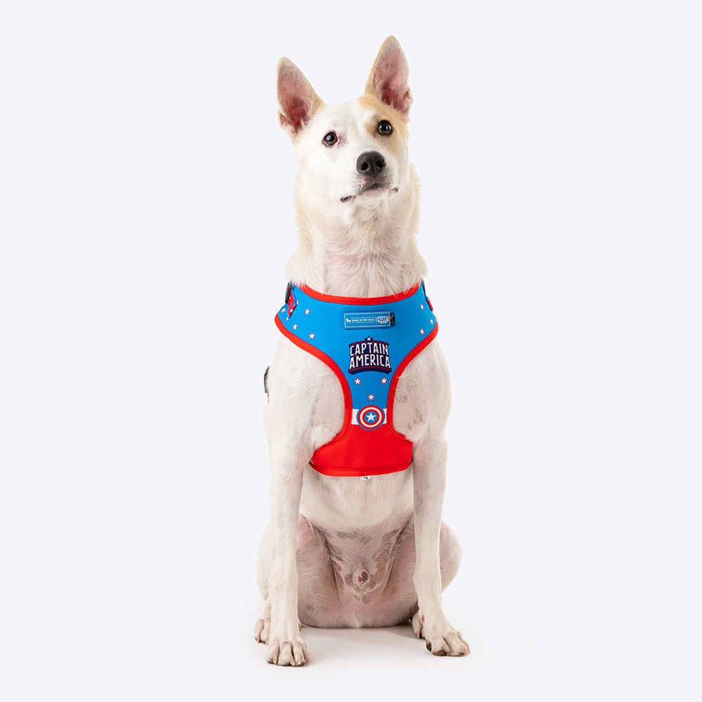 HUFT XÂ© Marvel 2.0 Captain America Printed Dog Harness (Blue and Red)_04