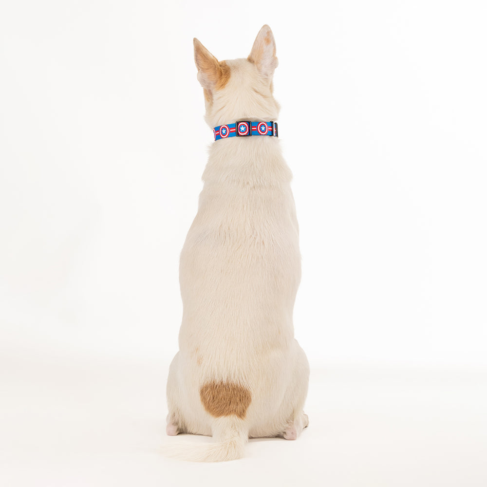 HUFT XÂ©Marvel 2.0 Captain America Printed Dog Collar - Blue and Red - Heads Up For Tails