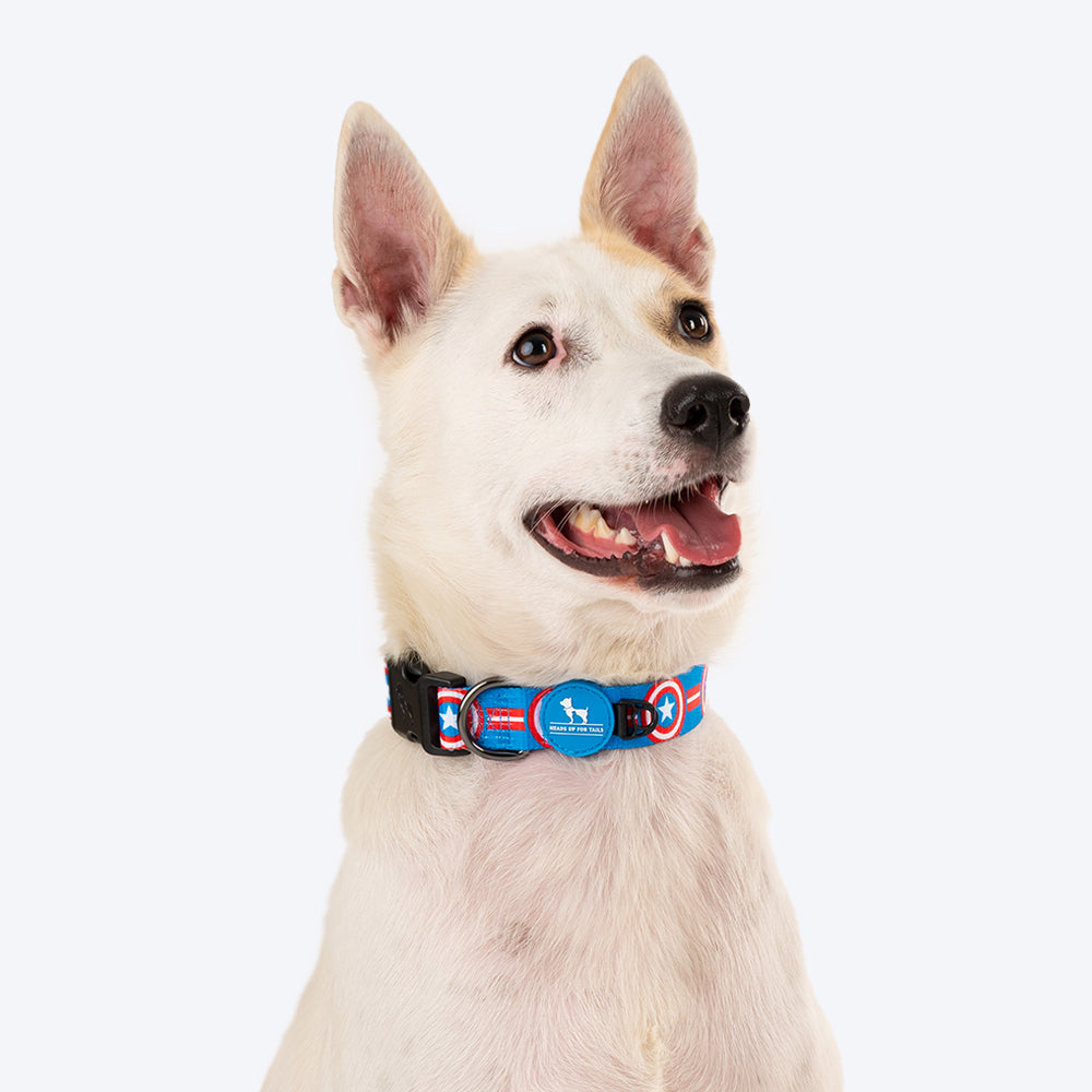 HUFT XÂ©Marvel 2.0 Captain America Printed Dog Collar - Blue and Red - Heads Up For Tails