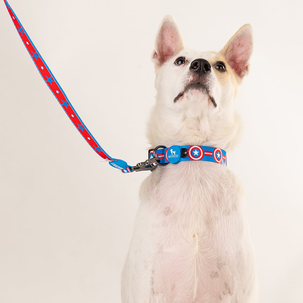 HUFT XÂ©Marvel 2.0 Captain America Printed Dog Collar - Blue and Red - Heads Up For Tails