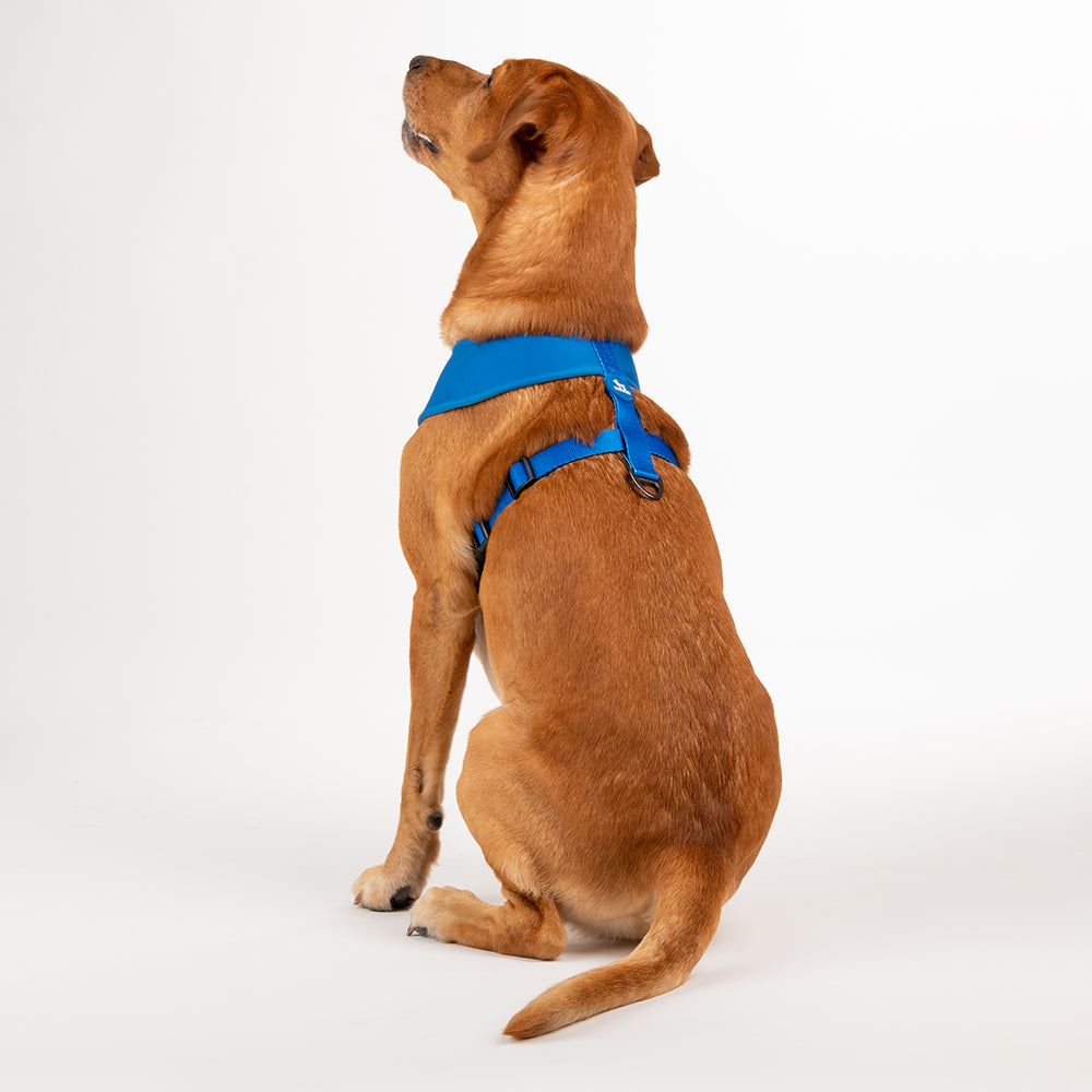 HUFT XÂ© Disney 2.0 Mickey Reversible Dog Harness - Blue - Heads Up For Tails