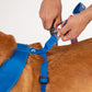 HUFT XÂ© Disney 2.0 Mickey Reversible Dog Harness - Blue - Heads Up For Tails