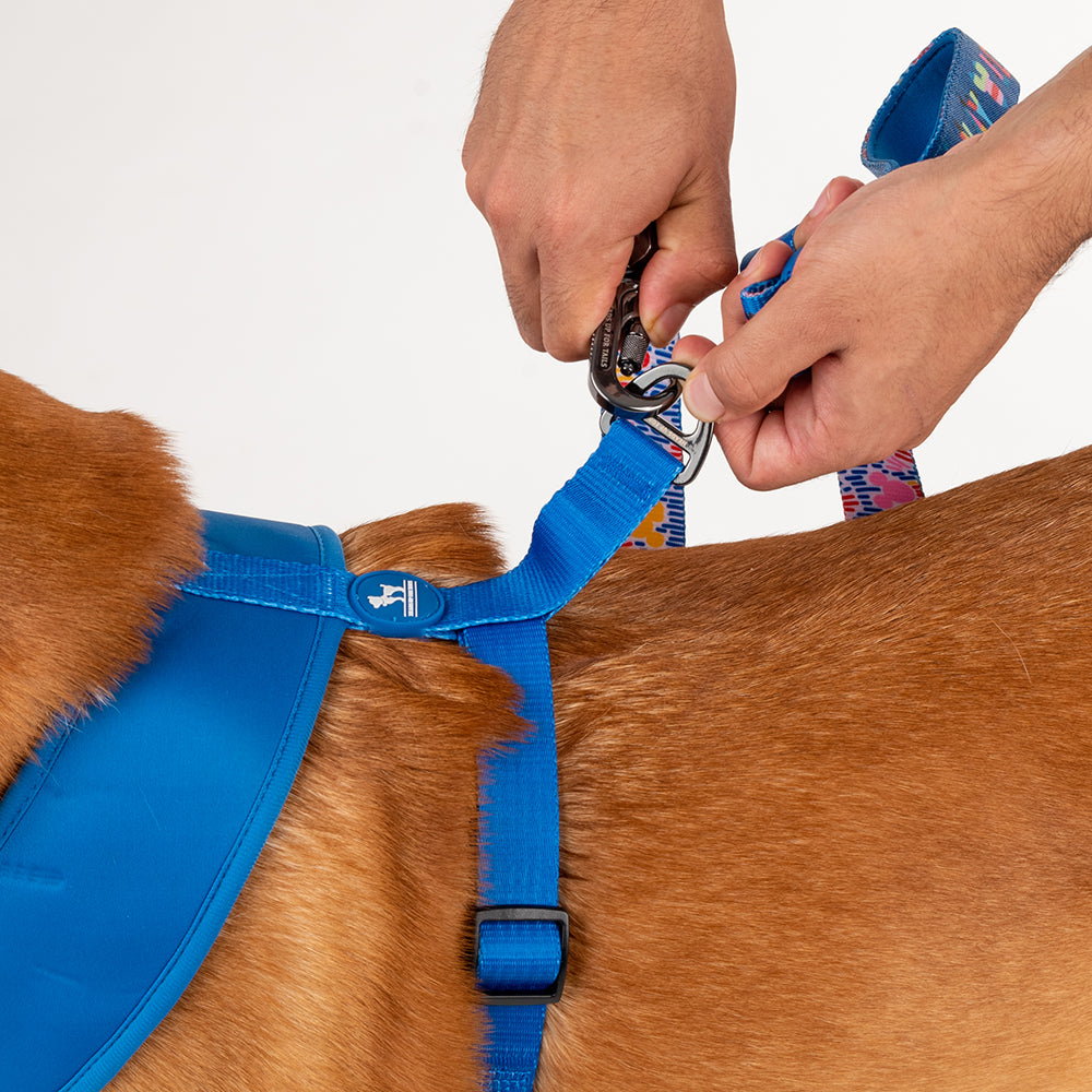 HUFT XÂ© Disney 2.0 Mickey Reversible Dog Harness - Blue - Heads Up For Tails