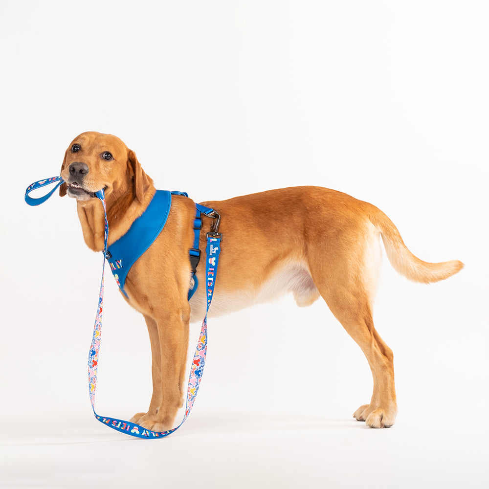 HUFT XÂ© Disney 2.0 Mickey Reversible Dog Harness - Blue - Heads Up For Tails