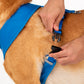HUFT XÂ© Disney 2.0 Mickey Reversible Dog Harness - Blue - Heads Up For Tails