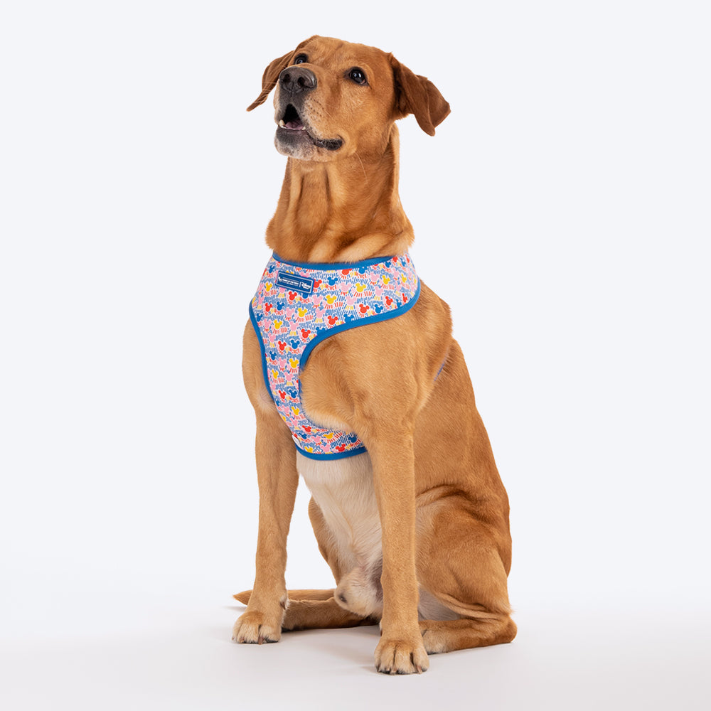 HUFT XÂ© Disney 2.0 Mickey Reversible Dog Harness - Blue - Heads Up For Tails