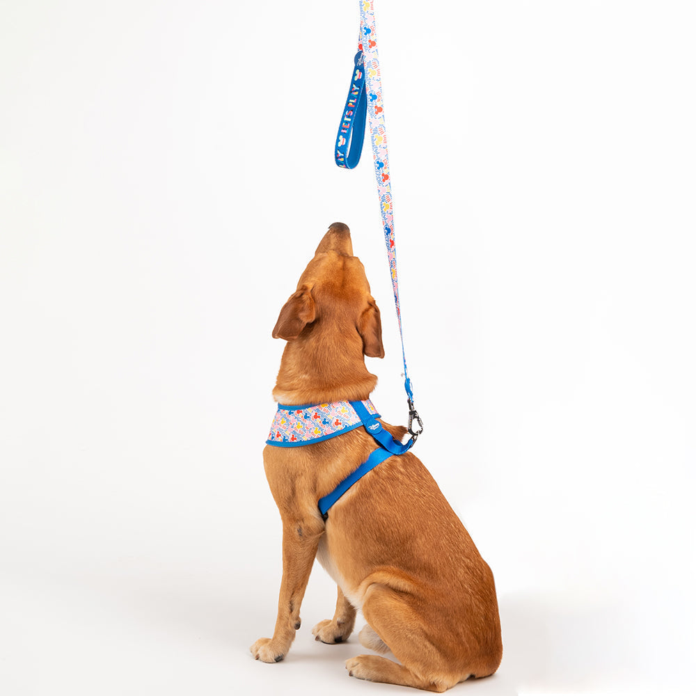 HUFT XÂ© Disney 2.0 Mickey Reversible Dog Harness - Blue - Heads Up For Tails