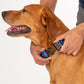 HUFT XÂ©Disney 2.0 Mickey Printed Dog Collar - Blue - Heads Up For Tails