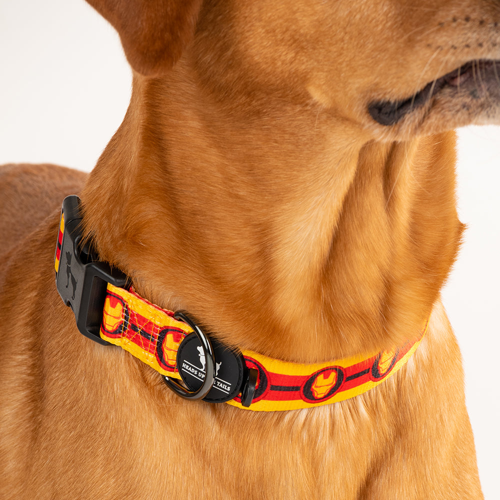 HUFT XÂ©Marvel 2.0 Iron Man Printed Dog Collar - Yellow and Red - Heads Up For Tails