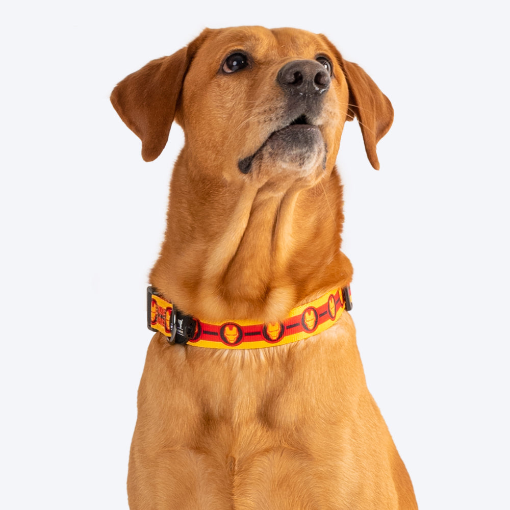 HUFT XÂ©Marvel 2.0 Iron Man Printed Dog Collar - Yellow and Red - Heads Up For Tails