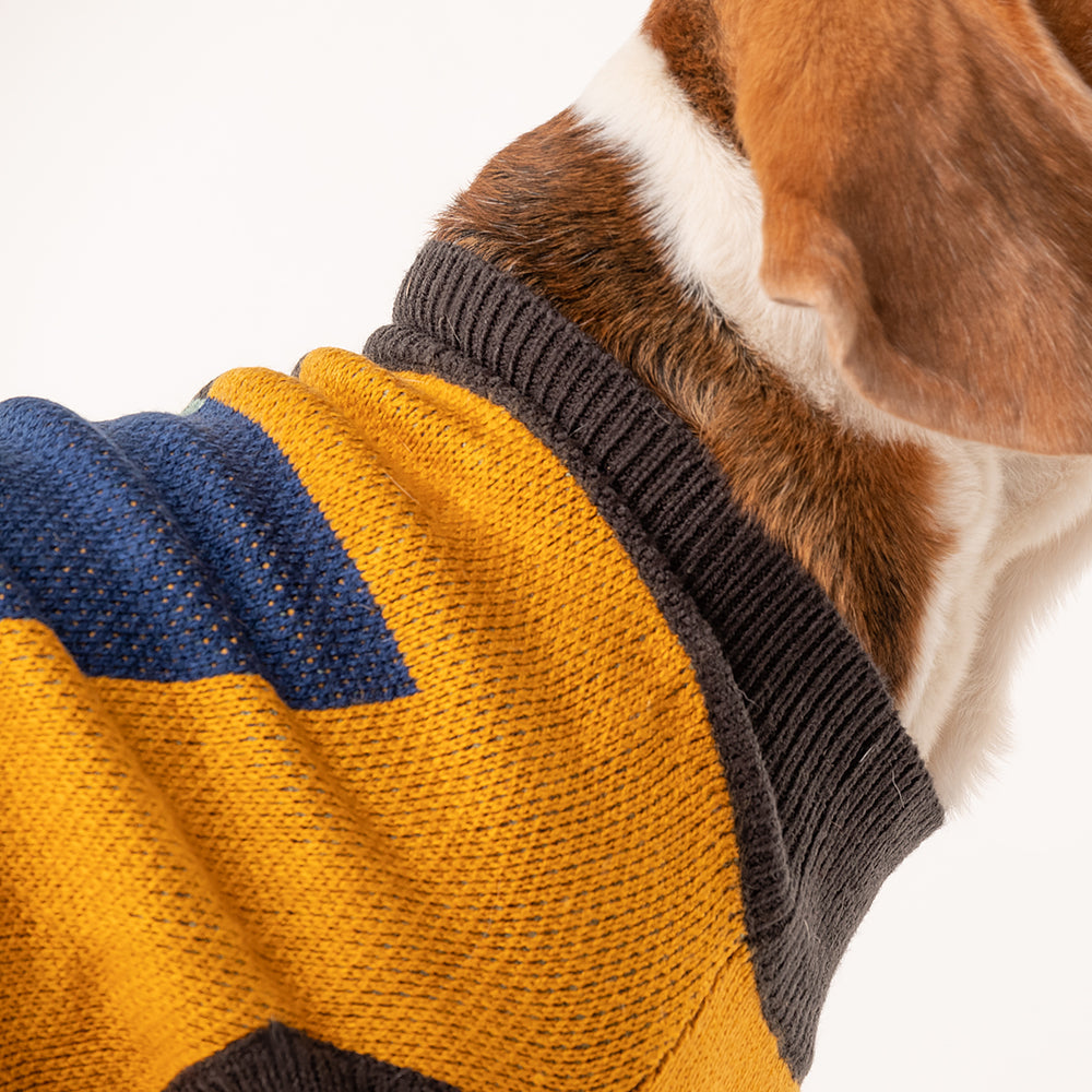 HUFT Winter Snugglers Sweater - Yellow - Heads Up For Tails