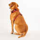HUFT XÂ©Marvel 2.0 Avengers Printed Reversible Dog Harness (Black and Red) - Heads Up For Tails