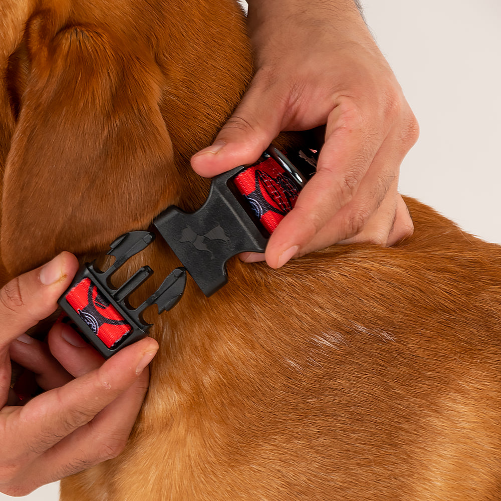 HUFT XÂ©Marvel 2.0 Avengers Printed Dog Collar - Red and Black - Heads Up For Tails