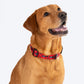 HUFT XÂ©Marvel 2.0 Avengers Printed Dog Collar - Red and Black - Heads Up For Tails