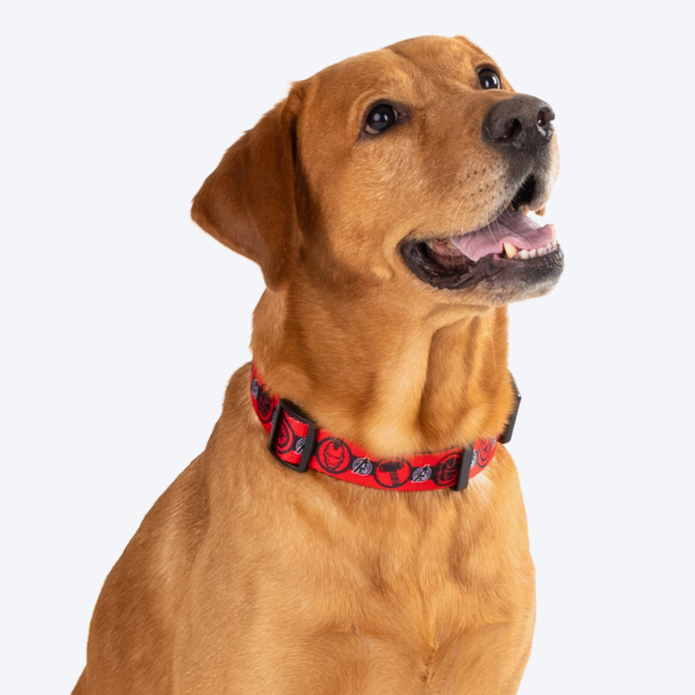 HUFT XÂ©Marvel 2.0 Avengers Printed Dog Collar - Red and Black - Heads Up For Tails