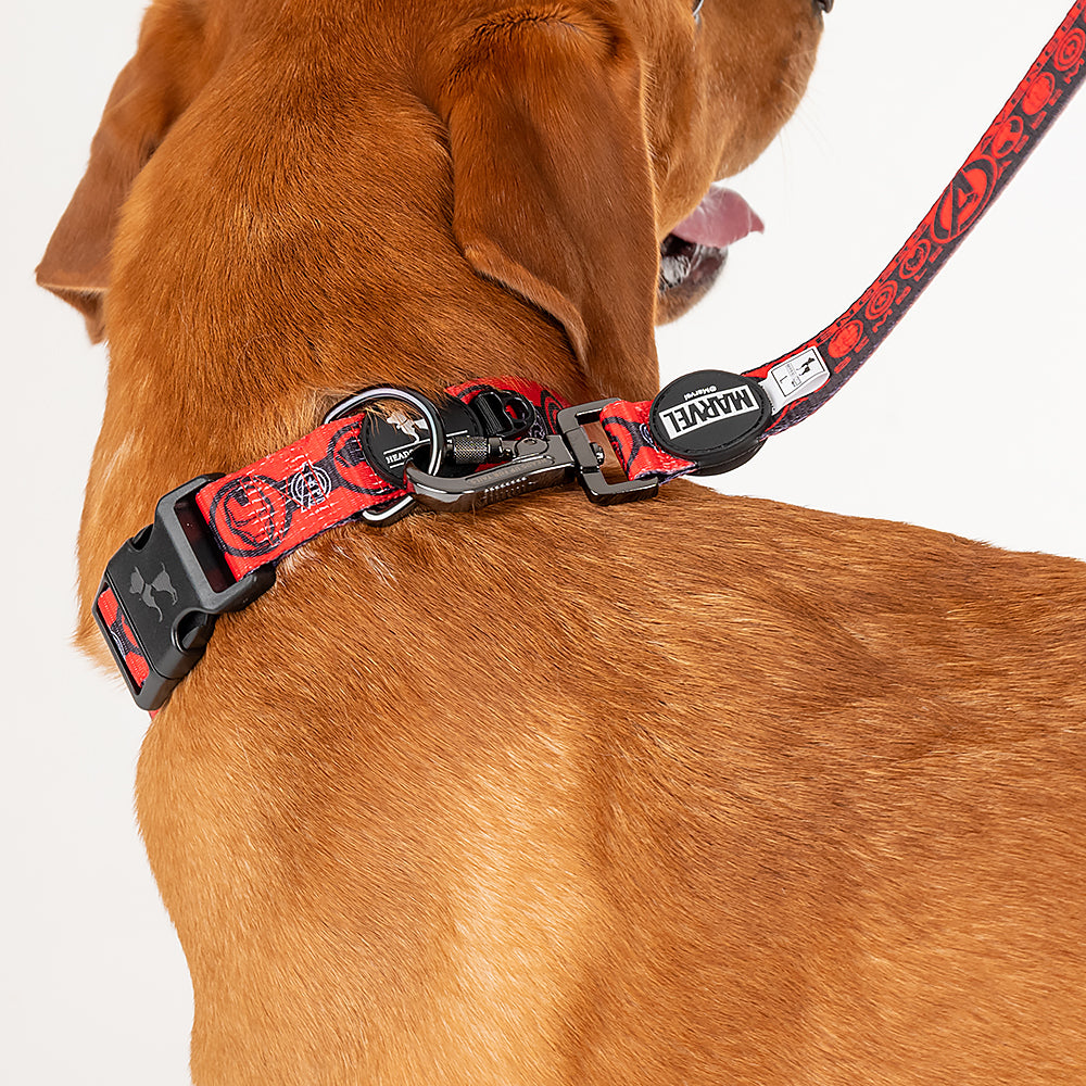 HUFT XÂ©Marvel 2.0 Avengers Printed Dog Collar - Red and Black - Heads Up For Tails