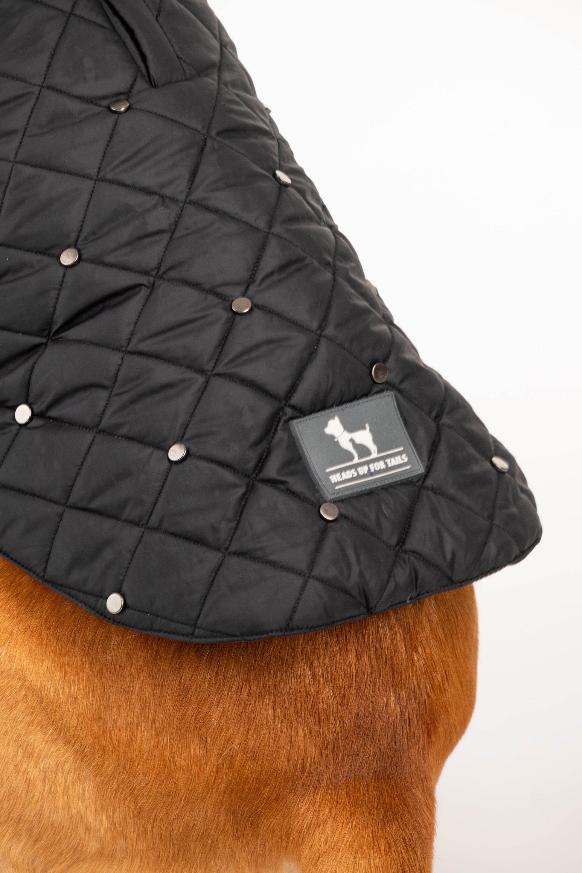 HUFT Luxe Stud Quilted Jacket For Pet - Black - Heads Up For Tails