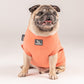 HUFT This Pug Is A Snuggle Bug T-shirt - Heads Up For Tails