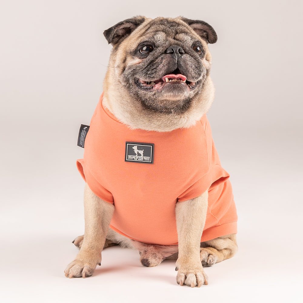 HUFT This Pug Is A Snuggle Bug T-shirt - Heads Up For Tails