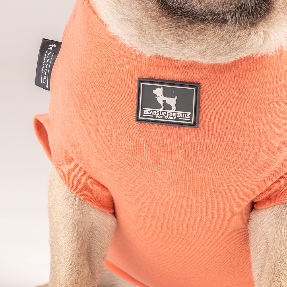 HUFT This Pug Is A Snuggle Bug T-shirt - Heads Up For Tails